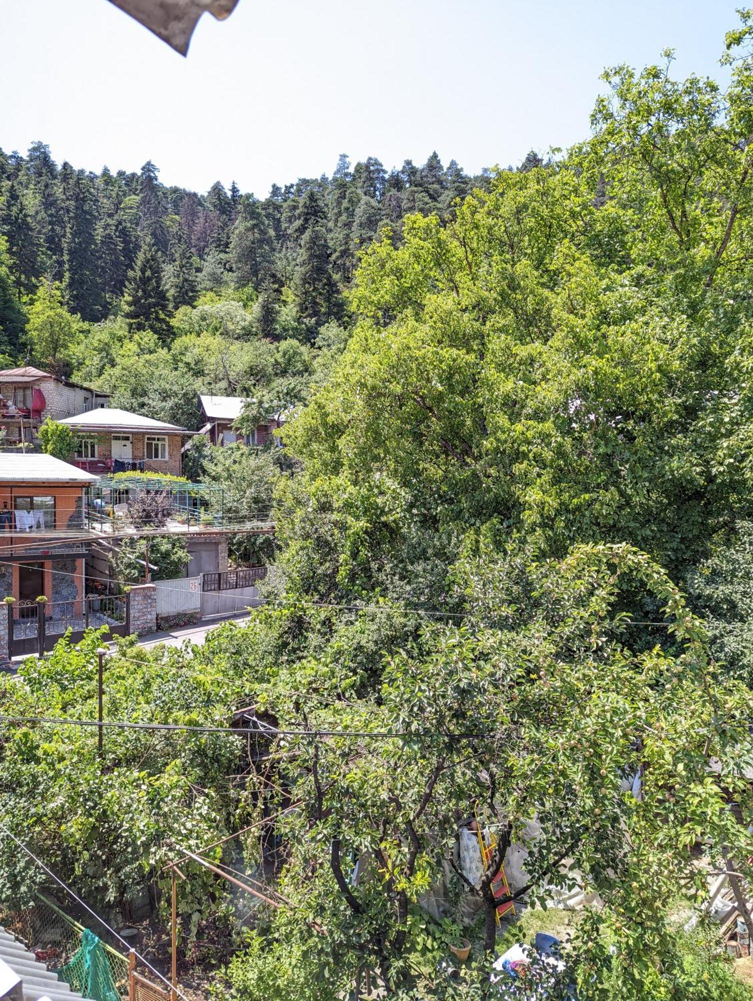 Dalko Hotel Borjomi Cameră foto
