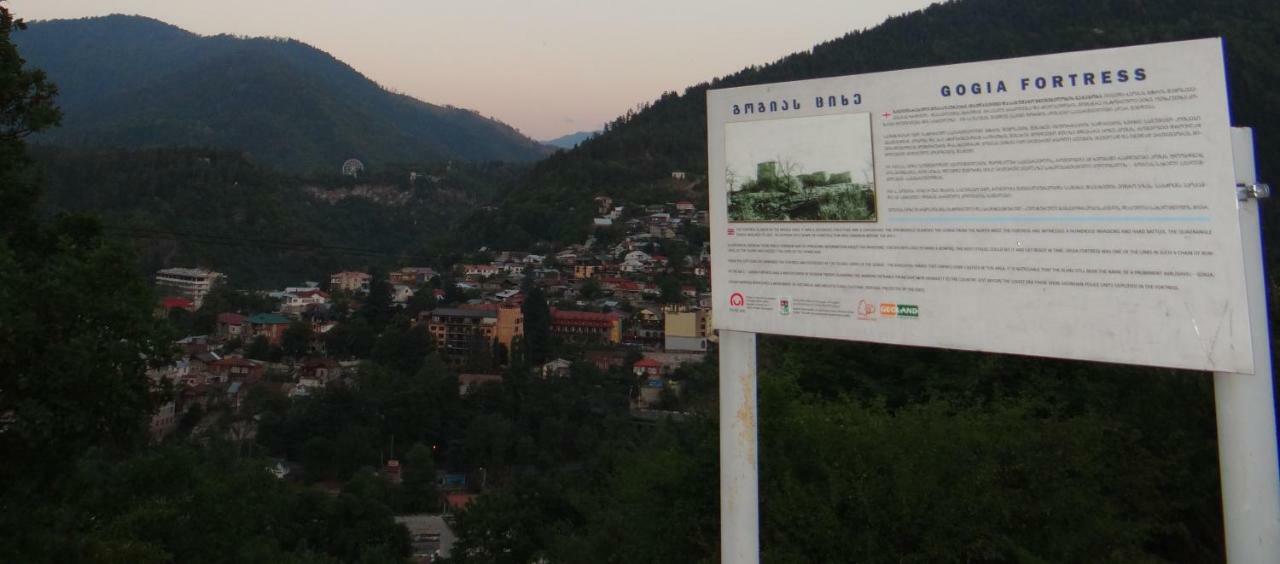 Dalko Hotel Borjomi Exterior foto